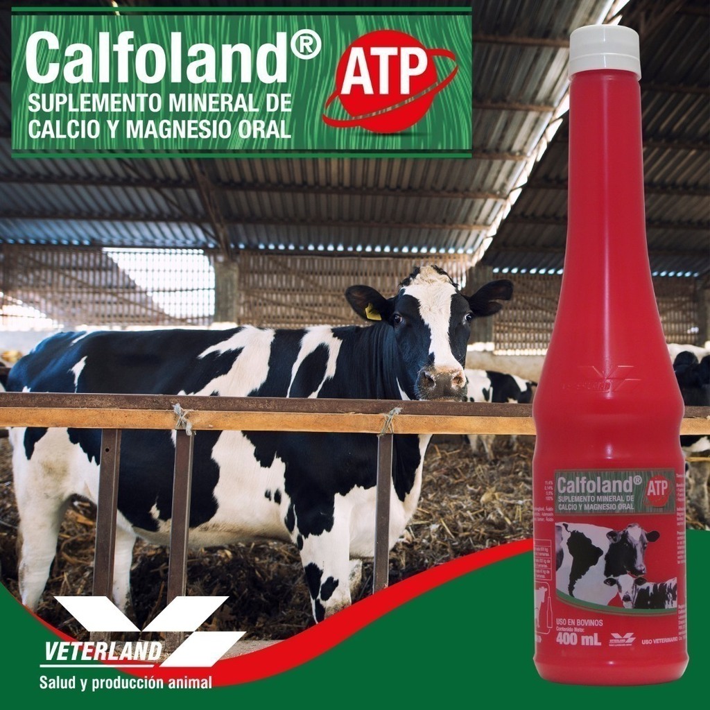 CALFOLAND ATP