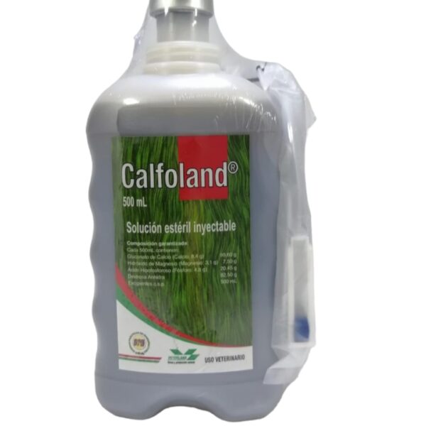 CALFOLAND INY