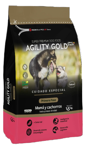 AGILITY GOLD MAMA & CACHORROS