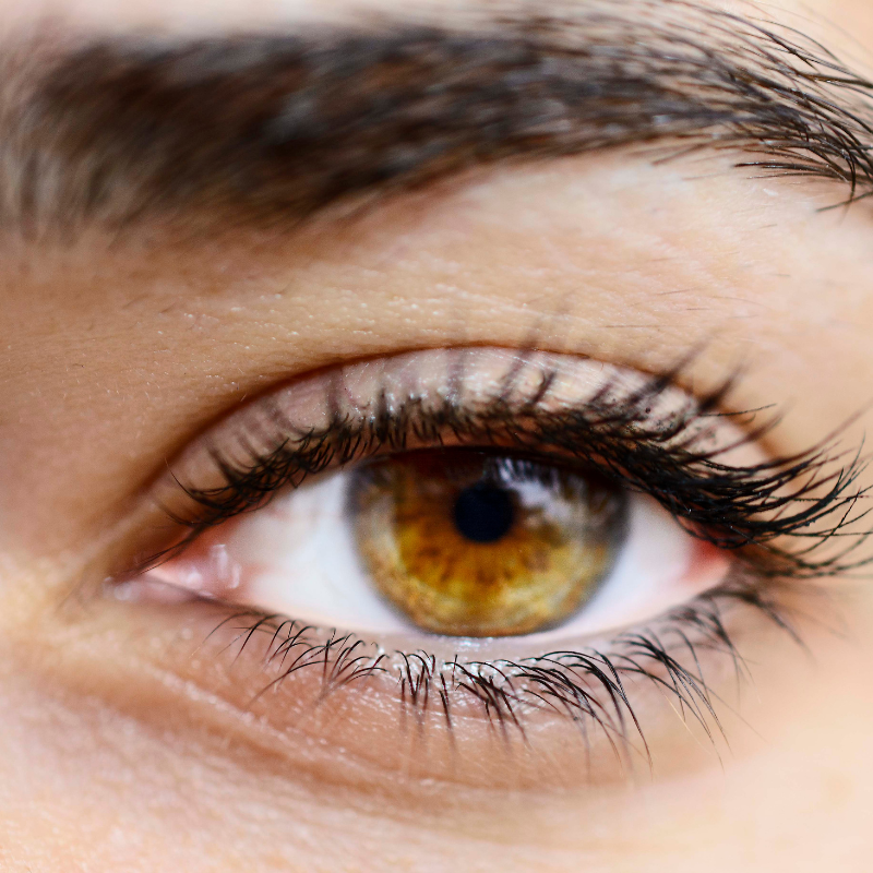 Teinture des cils