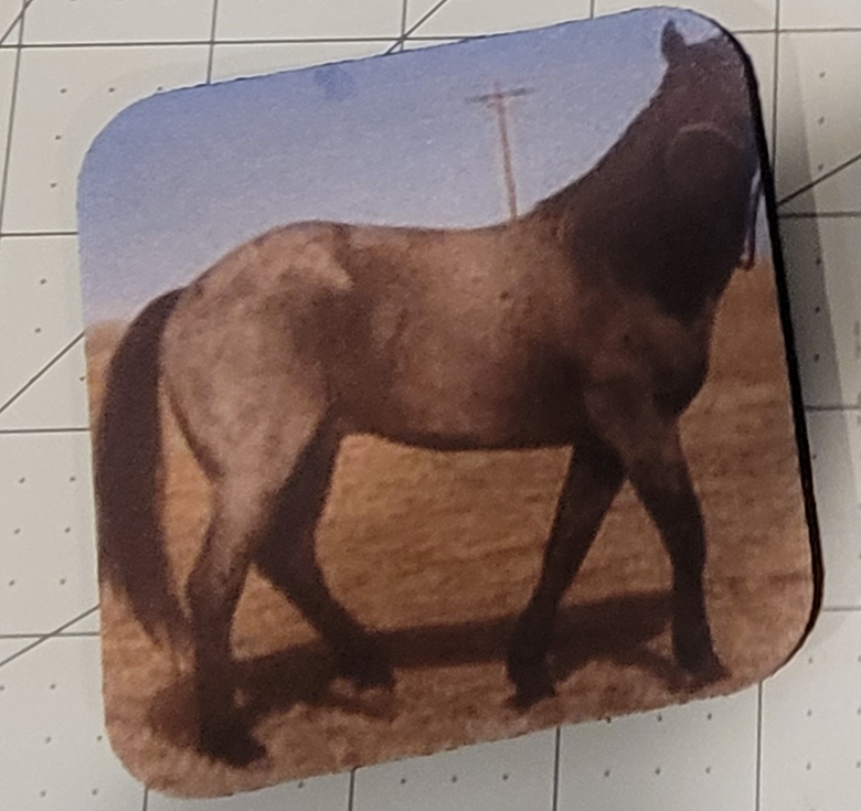 Neoprene Coasters – Horses