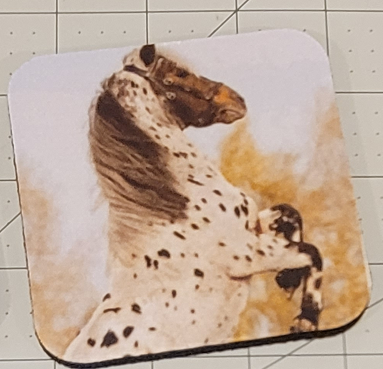 Neoprene Coasters – Horses