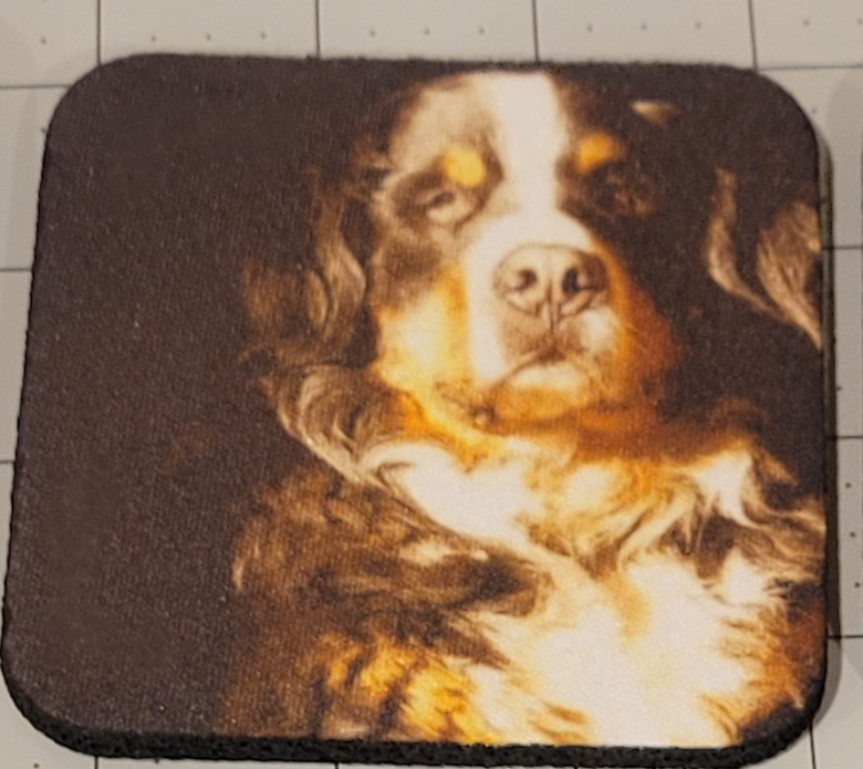 Neoprene Coasters – Dogs & Cats