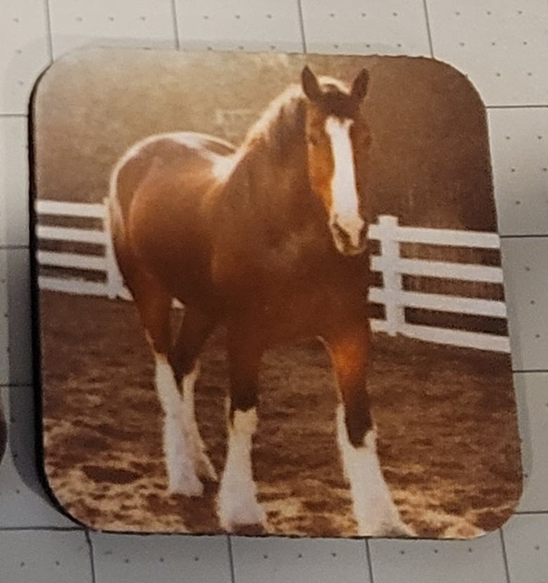 Neoprene Coasters – Horses