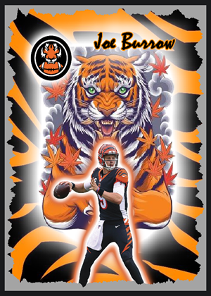 Trading Cards – Custom Request