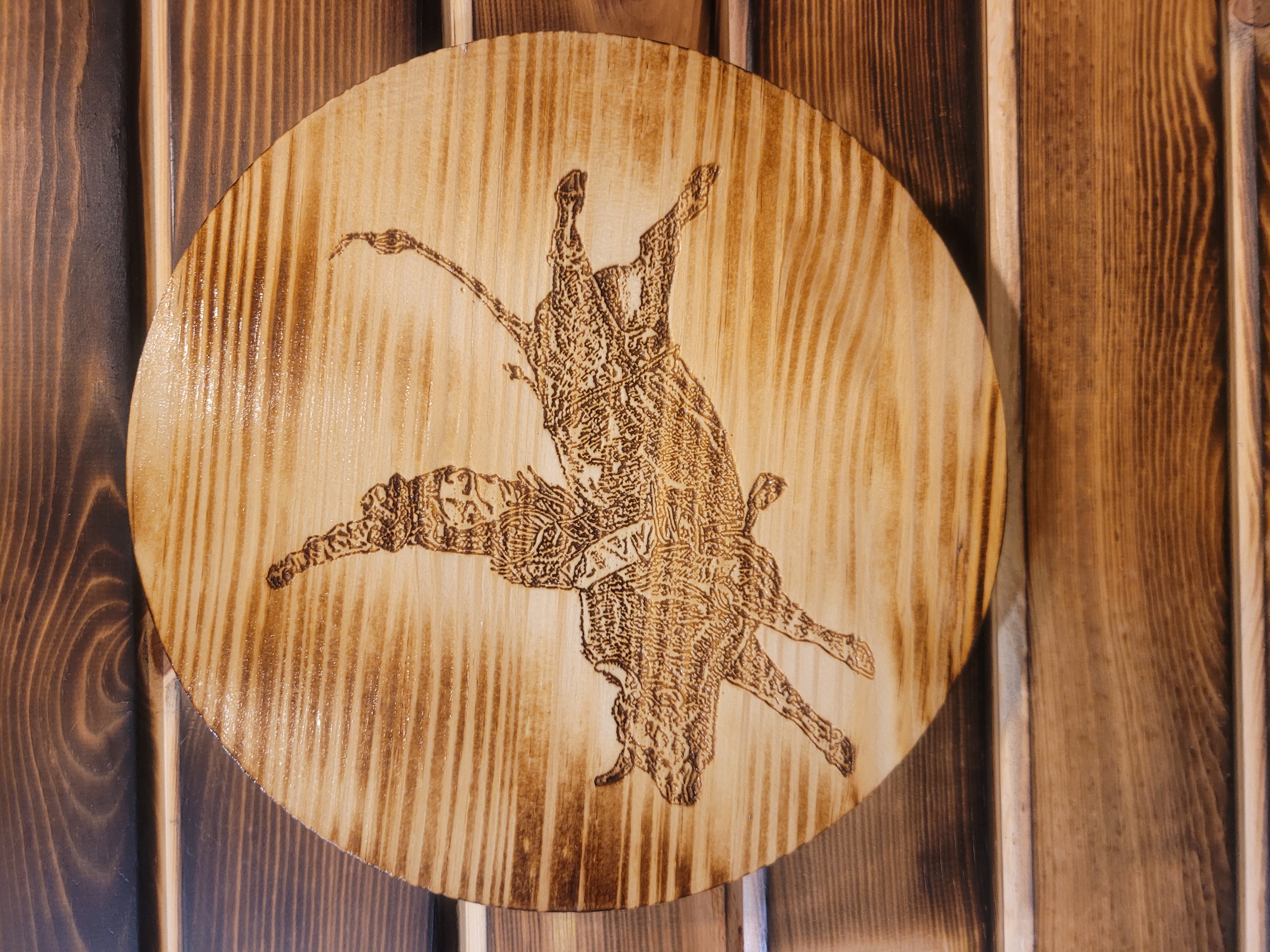 Wood Barrel Tops - Rodeo & Western