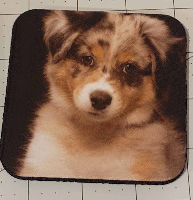 Neoprene Coasters – Dogs & Cats
