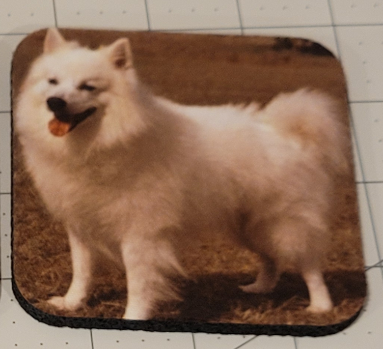 Neoprene Coasters – Dogs & Cats