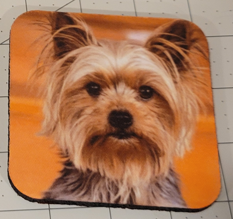 Neoprene Coasters – Dogs & Cats