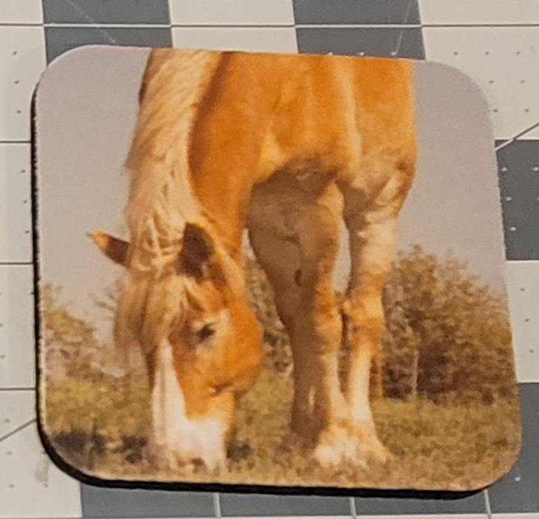 Neoprene Coasters – Horses