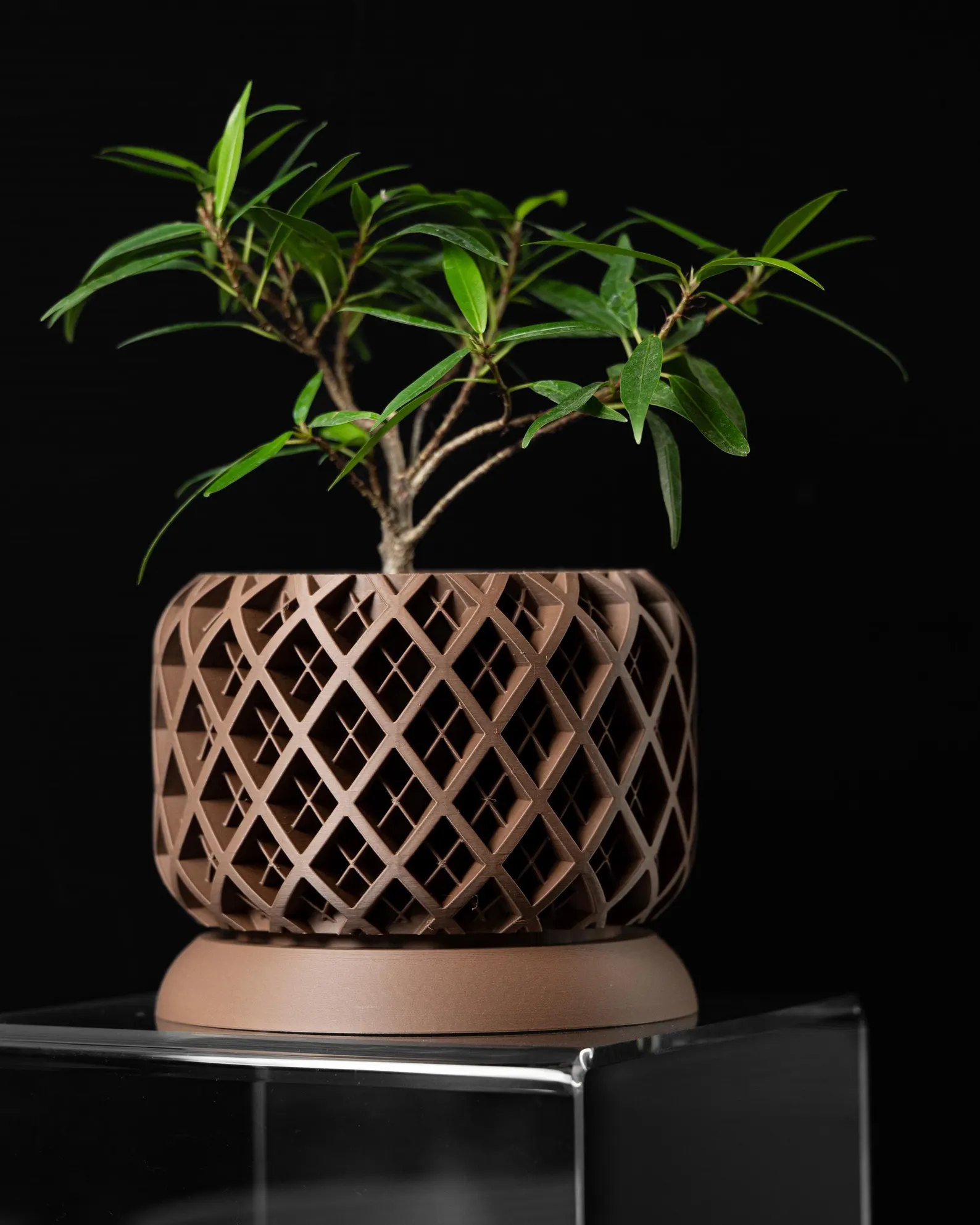 Modern geometric wooden planter