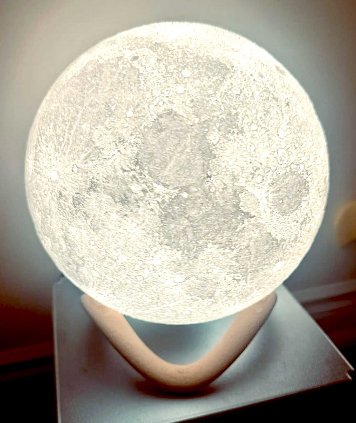 🌙 Boujee Moon Lamp  ✨