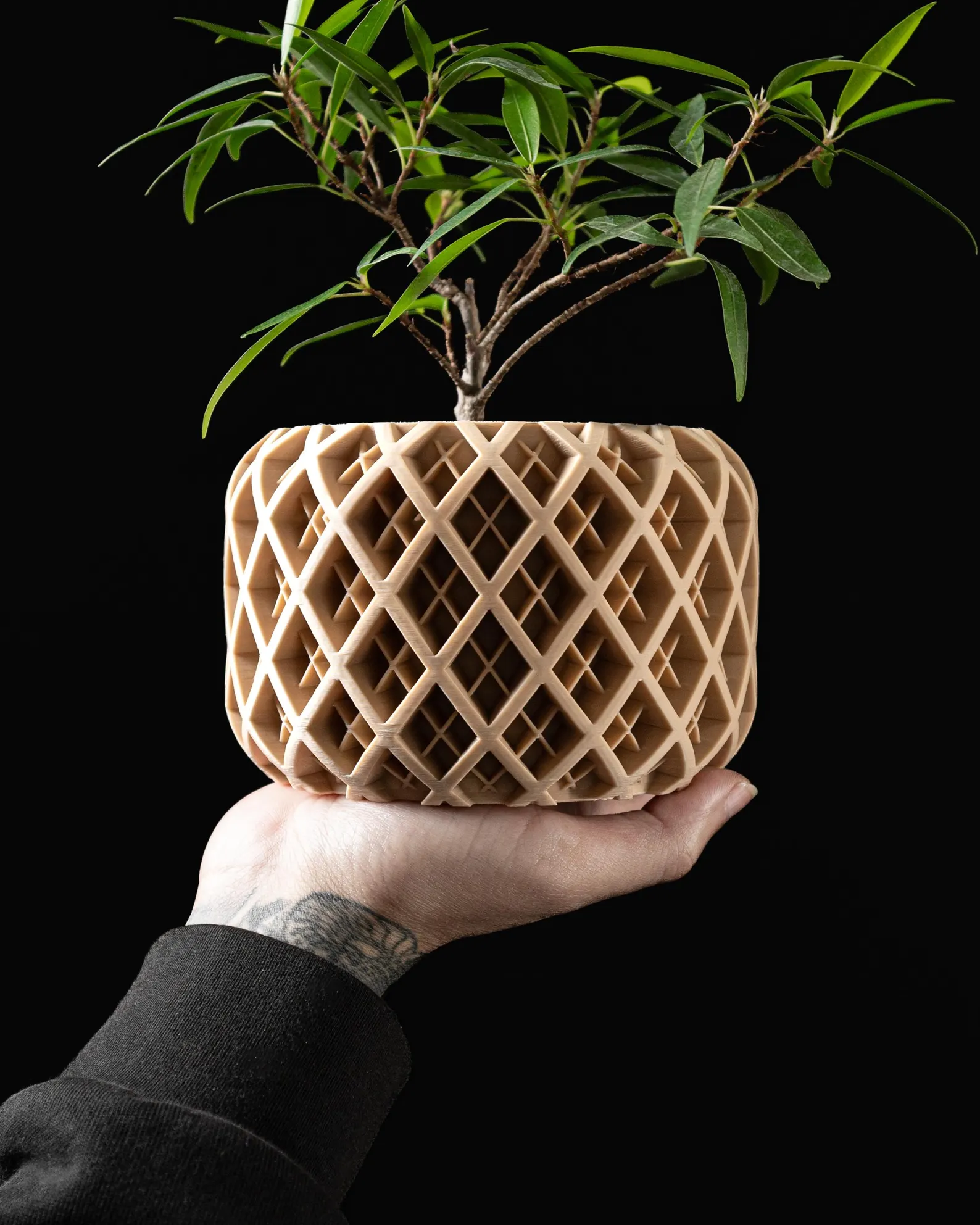 Modern geometric wooden planter