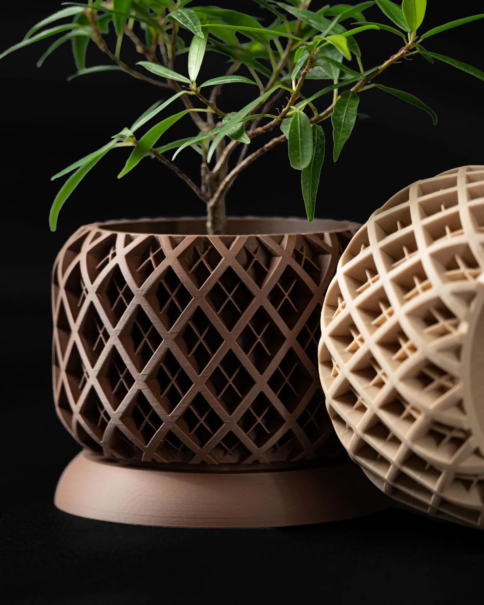 Modern geometric wooden planter