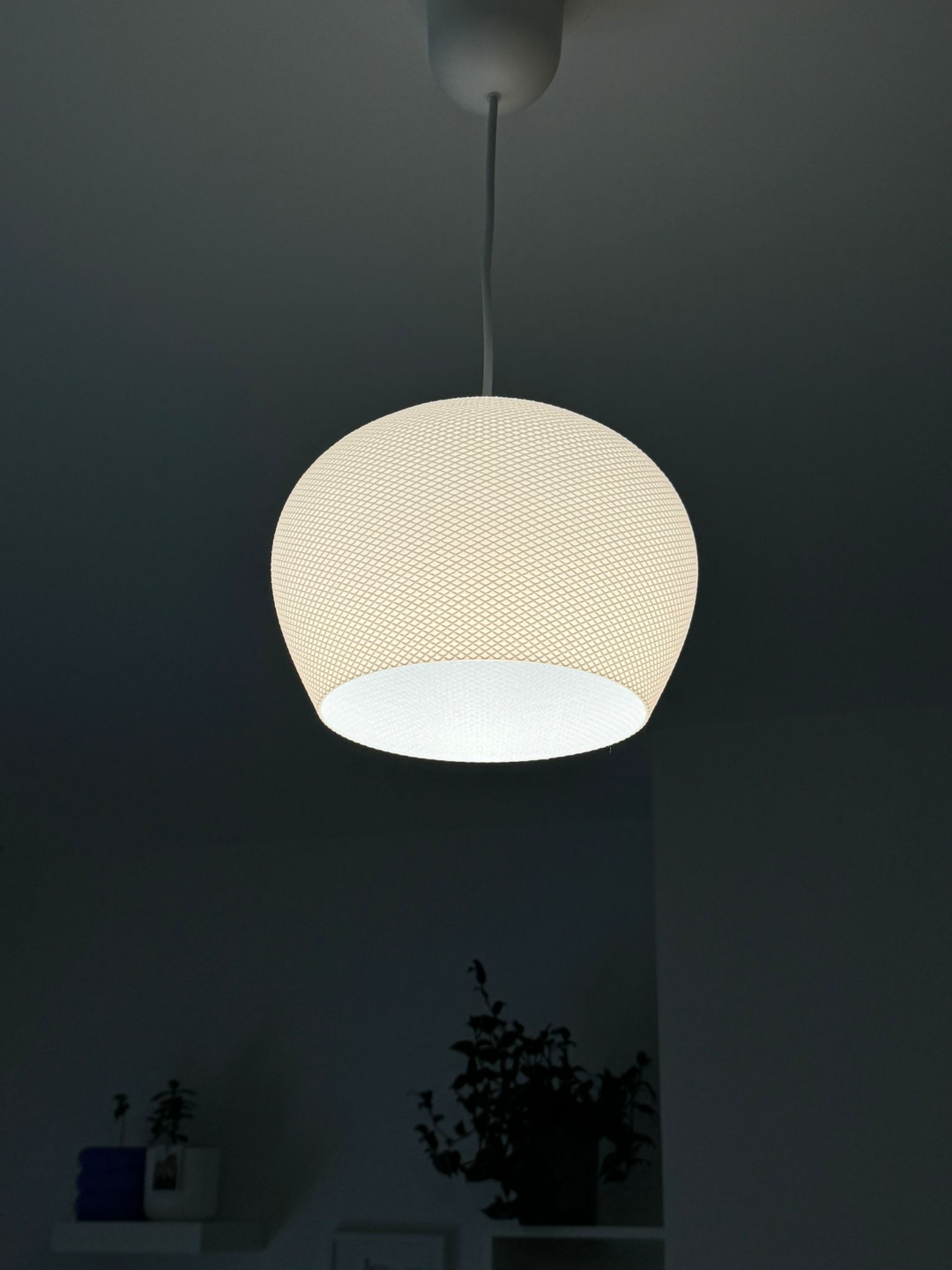 Modern Mesh Pendant Lamp