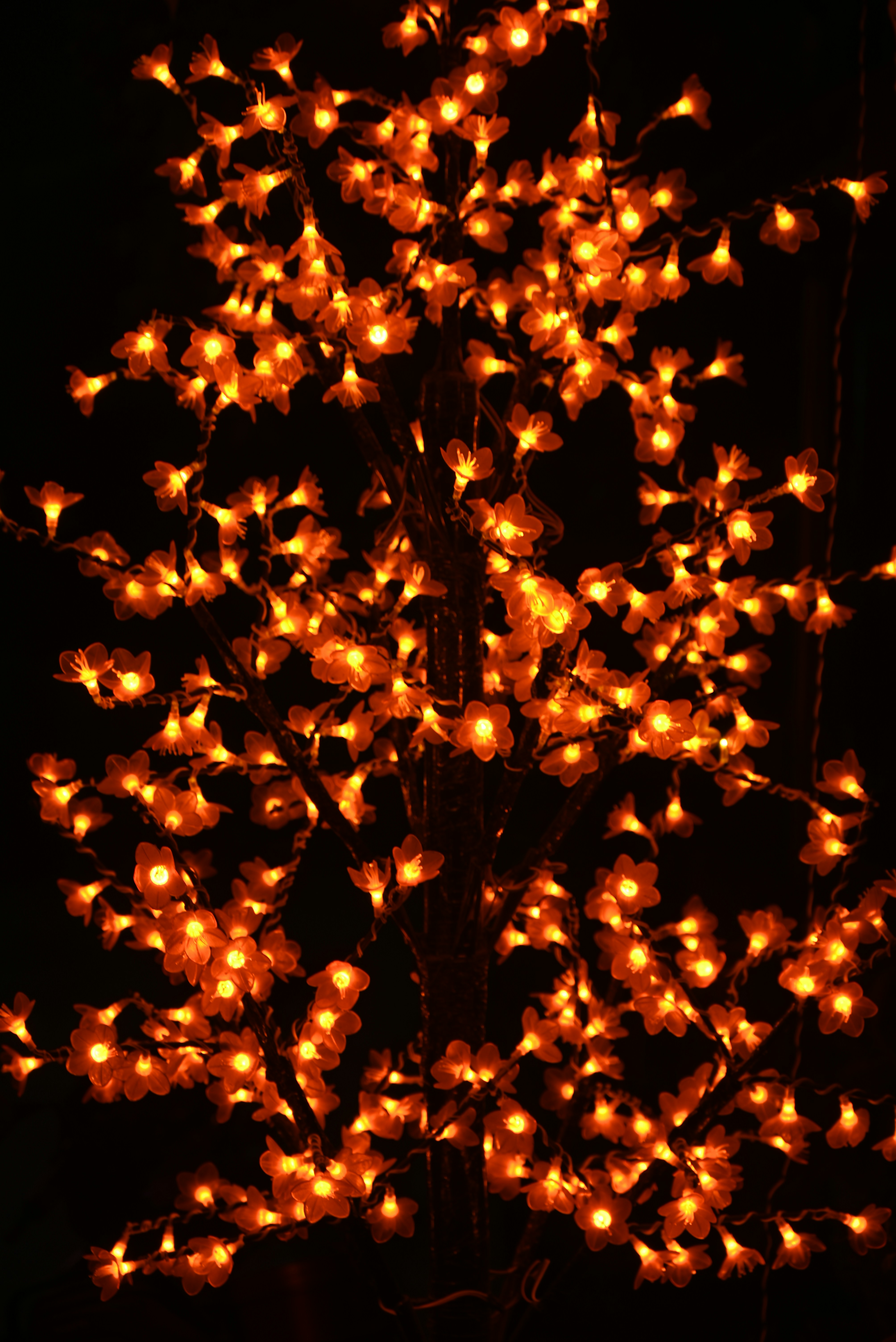 String Lights