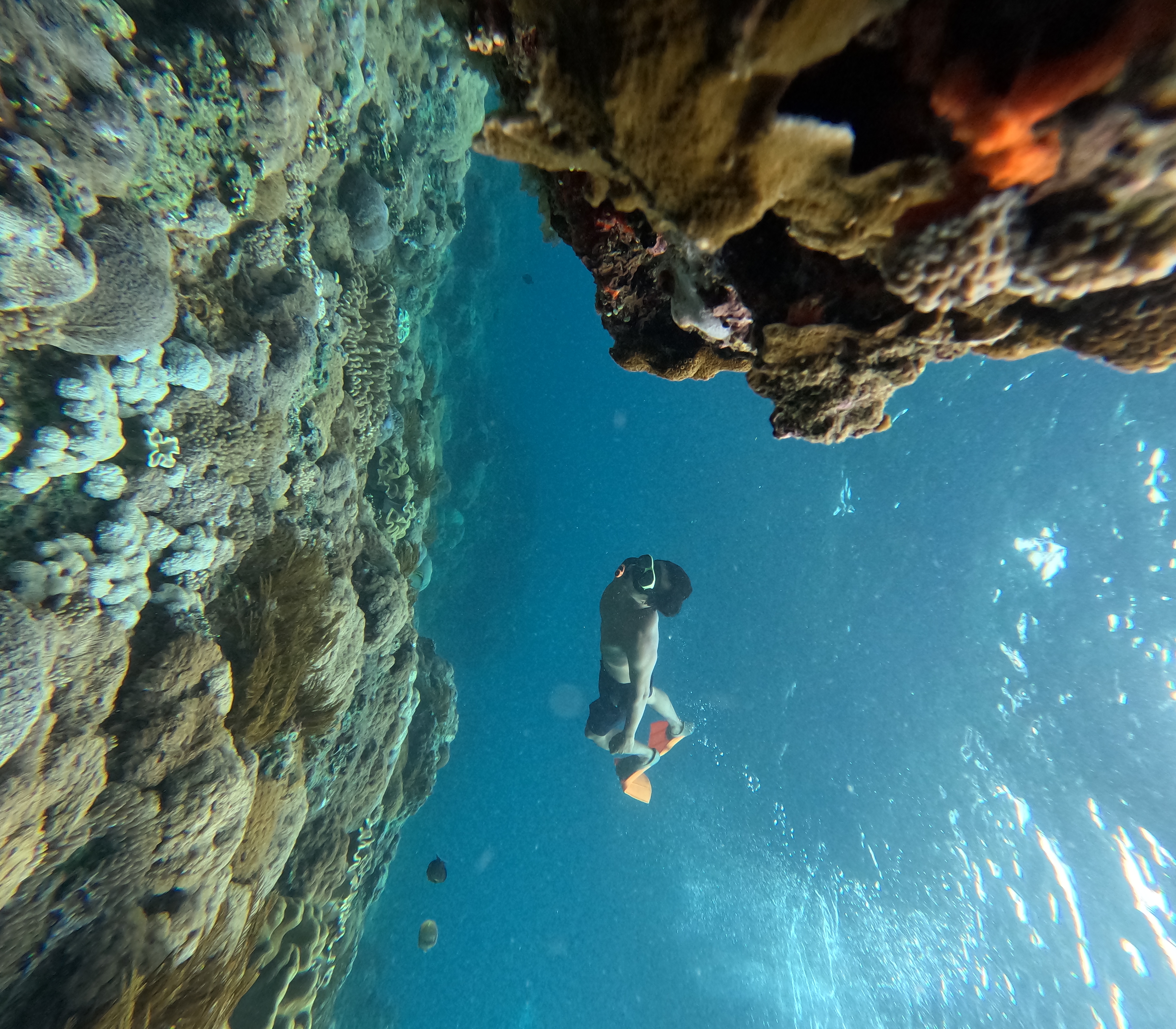 Underwater Snorkeling Experience