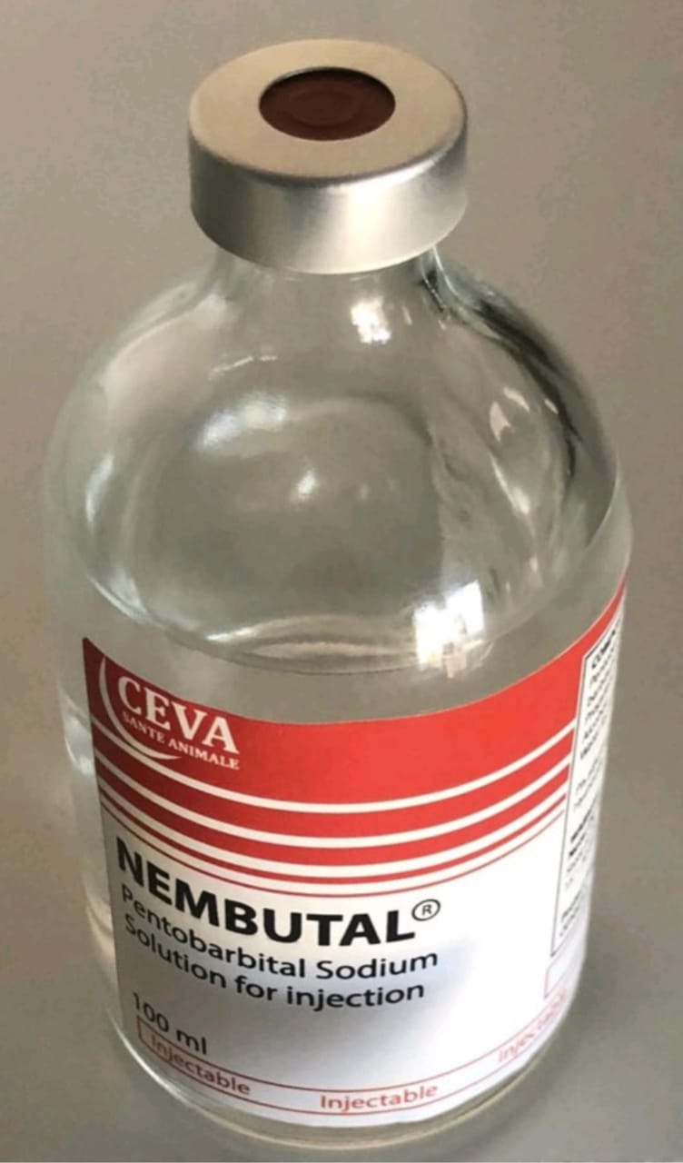 Nembutal Pentobarbital Sodium Solution