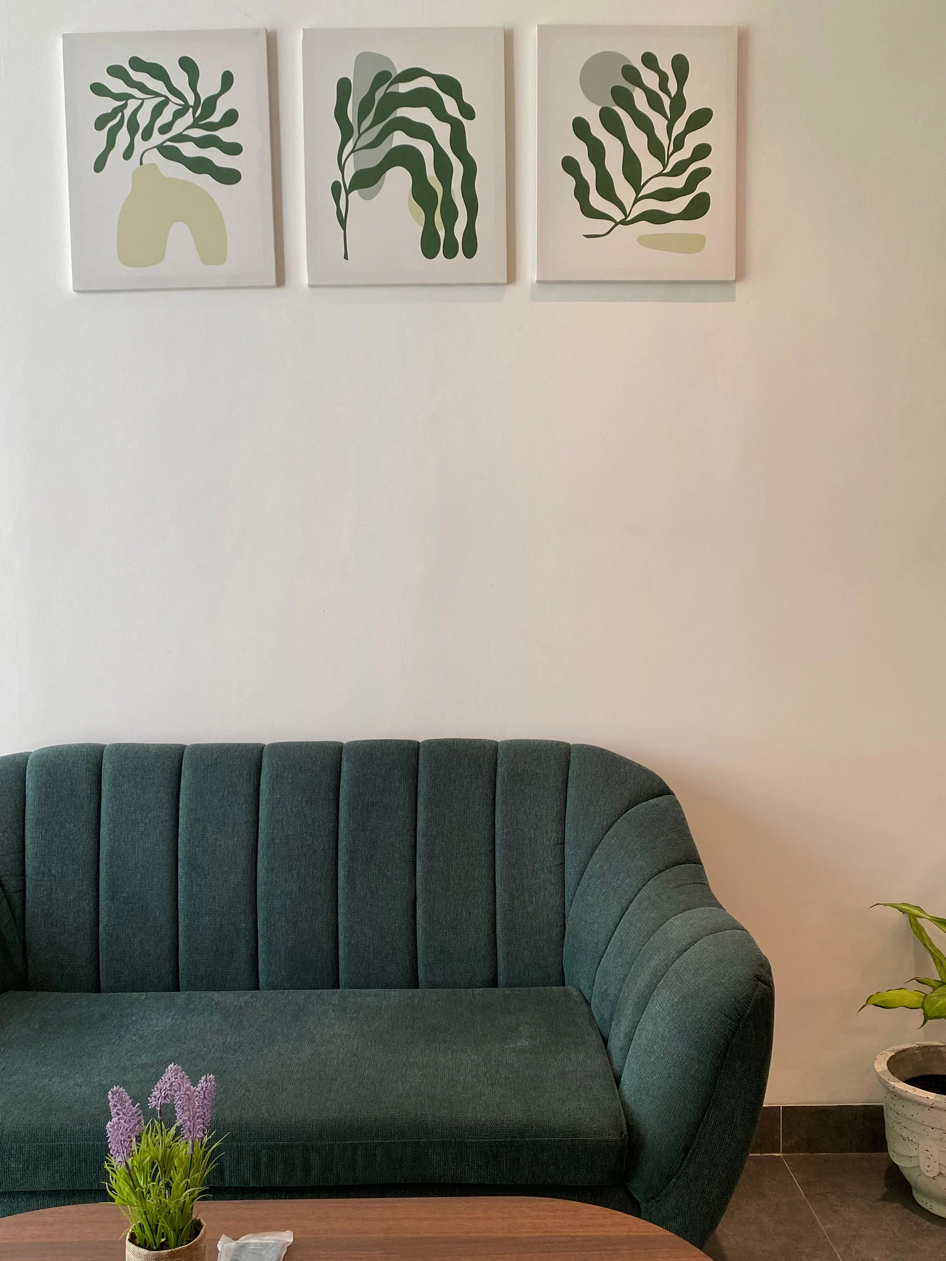 The Lavana Project 