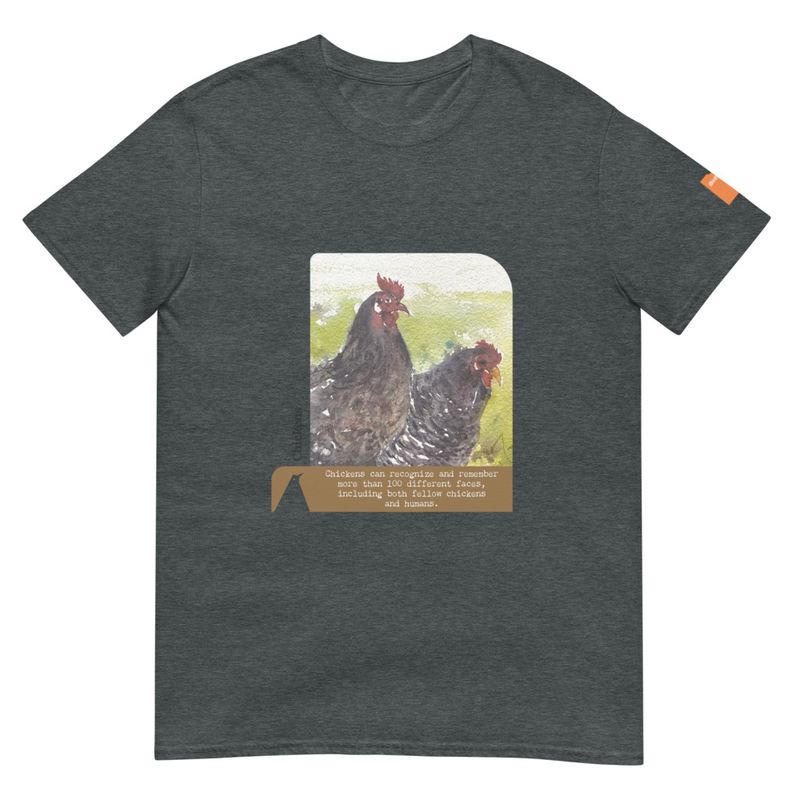CHICKENs
