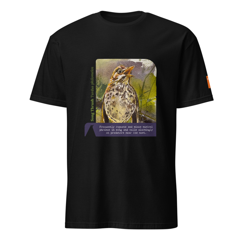 For the Sake of My Voice