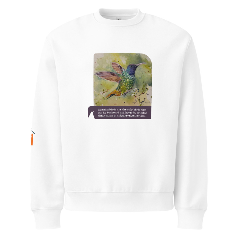 Hummingbird Oversized heavyweight Sweatshirt