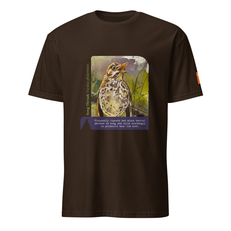 For the Sake of My Voice