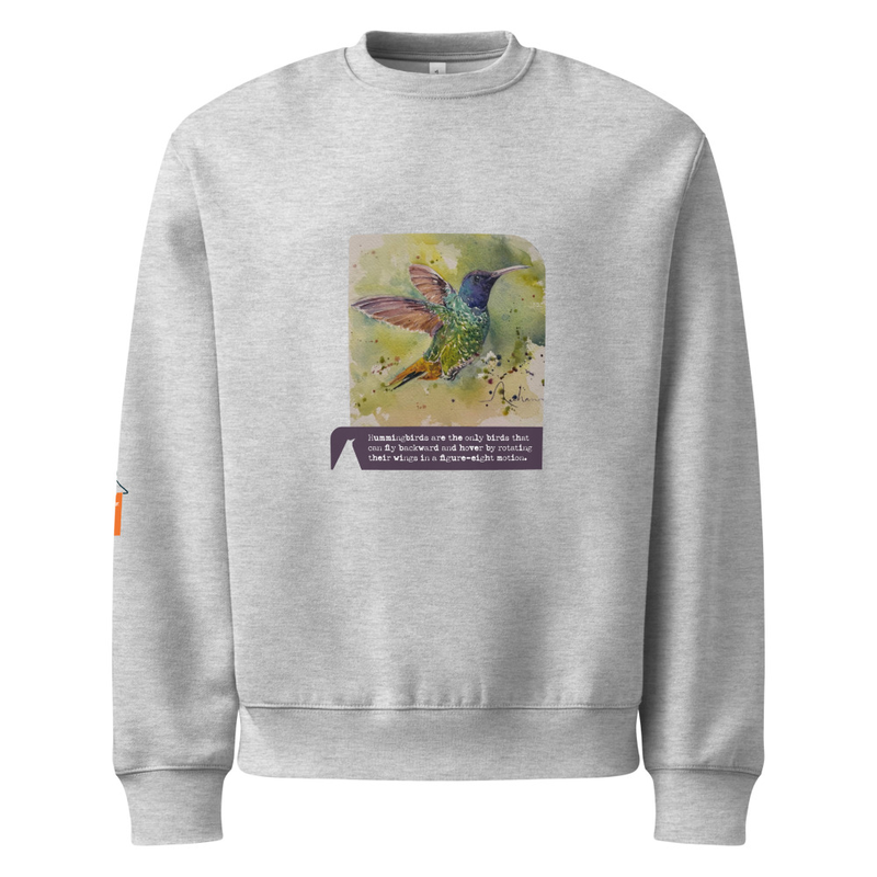 Hummingbird Oversized heavyweight Sweatshirt