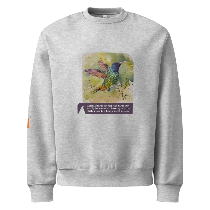 Hummingbird Oversized heavyweight Sweatshirt