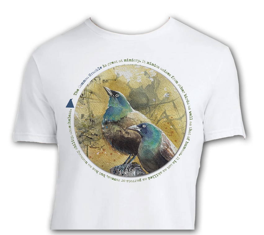 Grackle Bird Illustrated T-Shirt