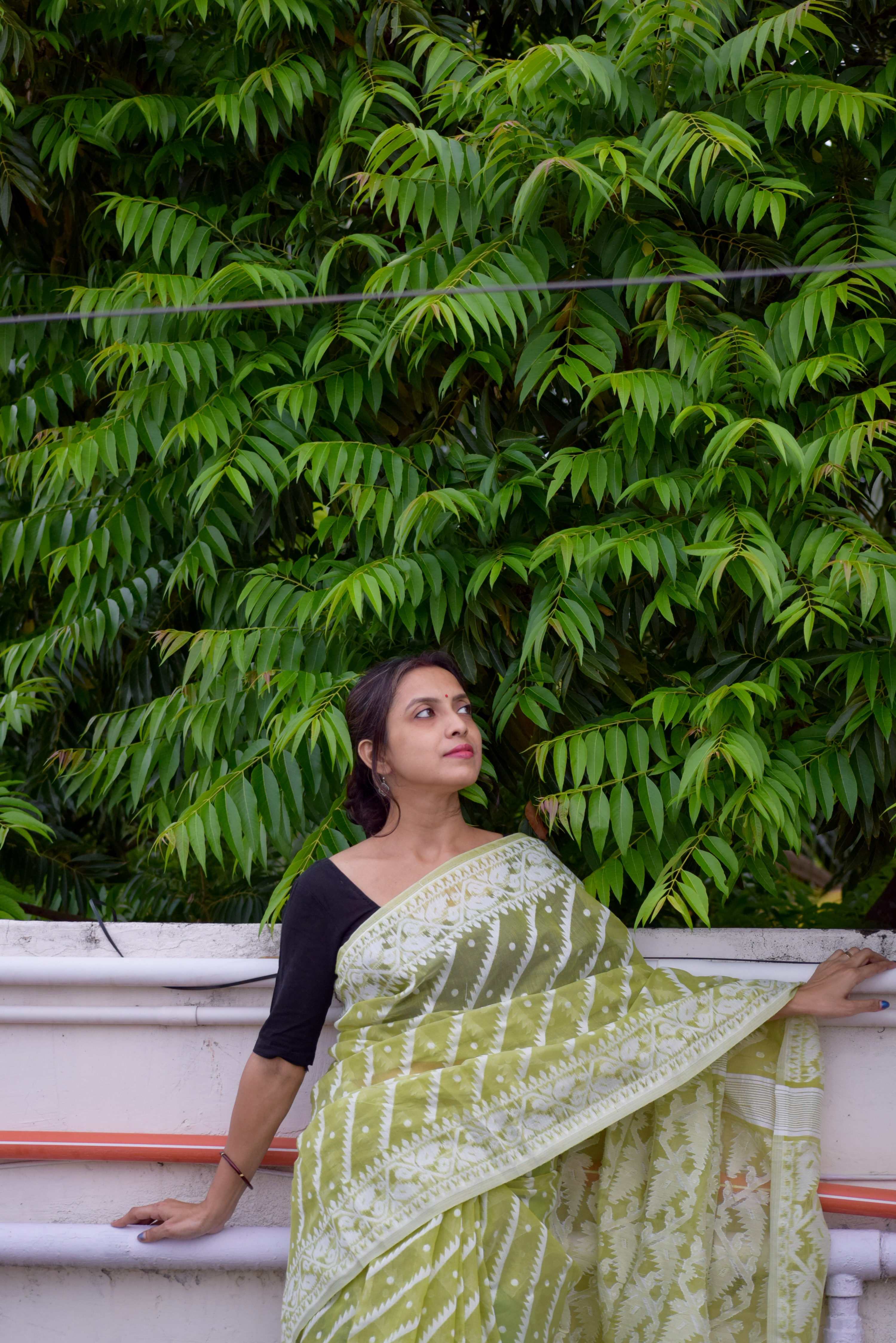 Premium Quality Muslin Cotton Jamdani Saree in Olive tone with off White Thread Work