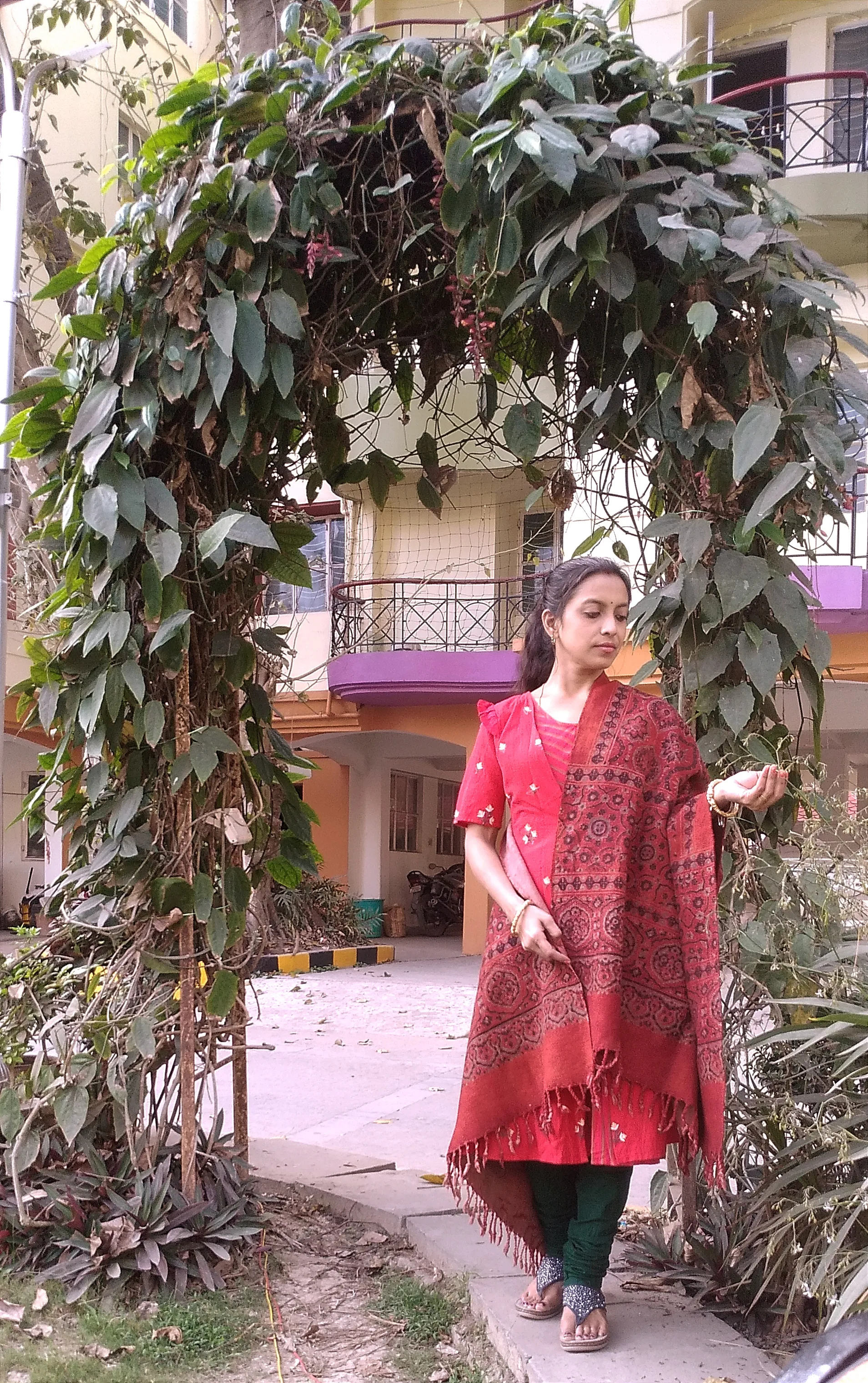 Mayra - Ajrakh-Printed Premium HandWoven Khadar Cotton Shawls -Mazentine Red