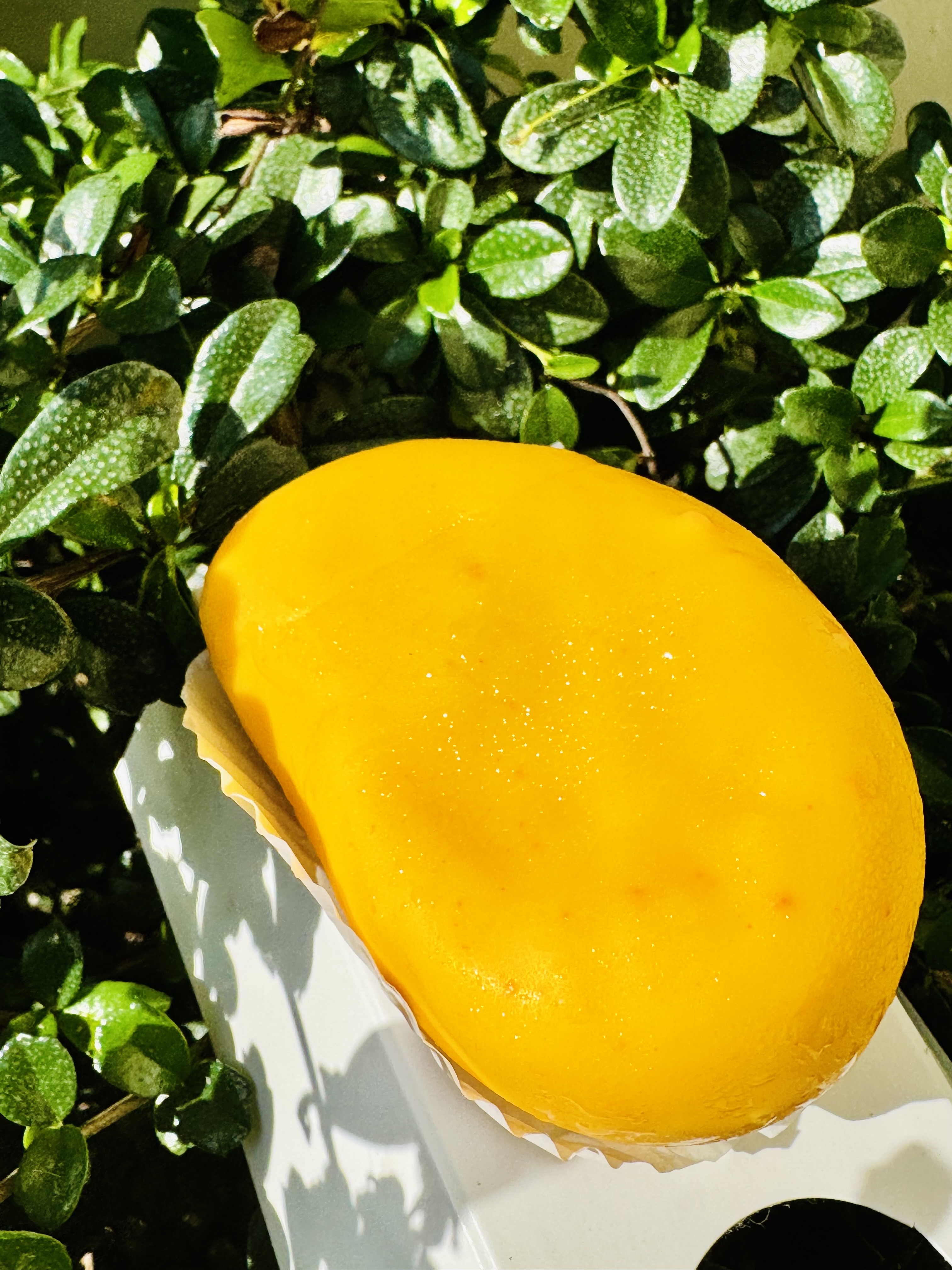 Helado de mango 