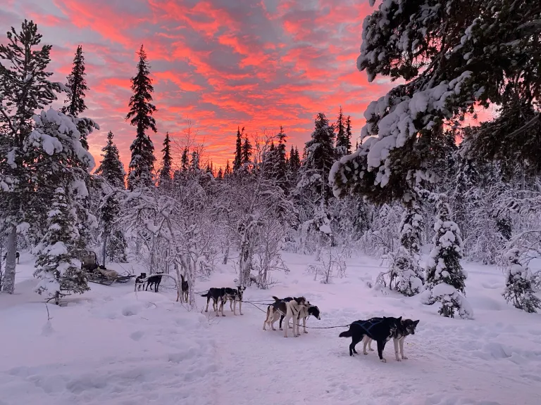 2025 Christmas in Lapland (Budget) 