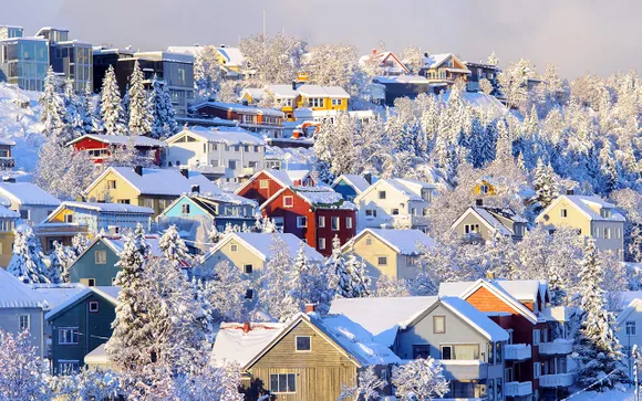 Consulting and Planning (Essential)