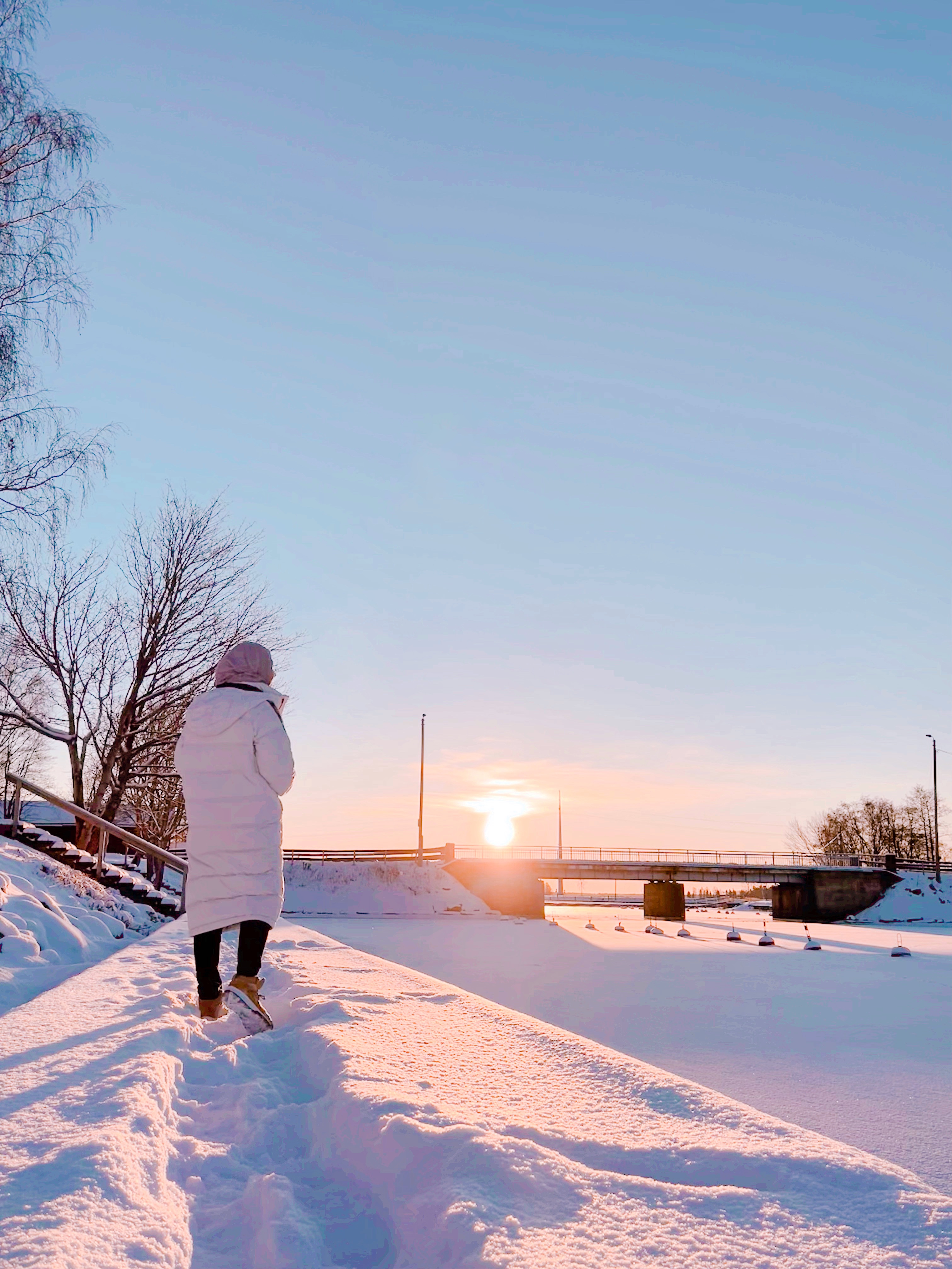 Consulting and Planning (Curated)