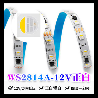 WS2814A-12V LED Strip  WS2814A IC RGBW RGB+Warm White(Similar WS2812B)
