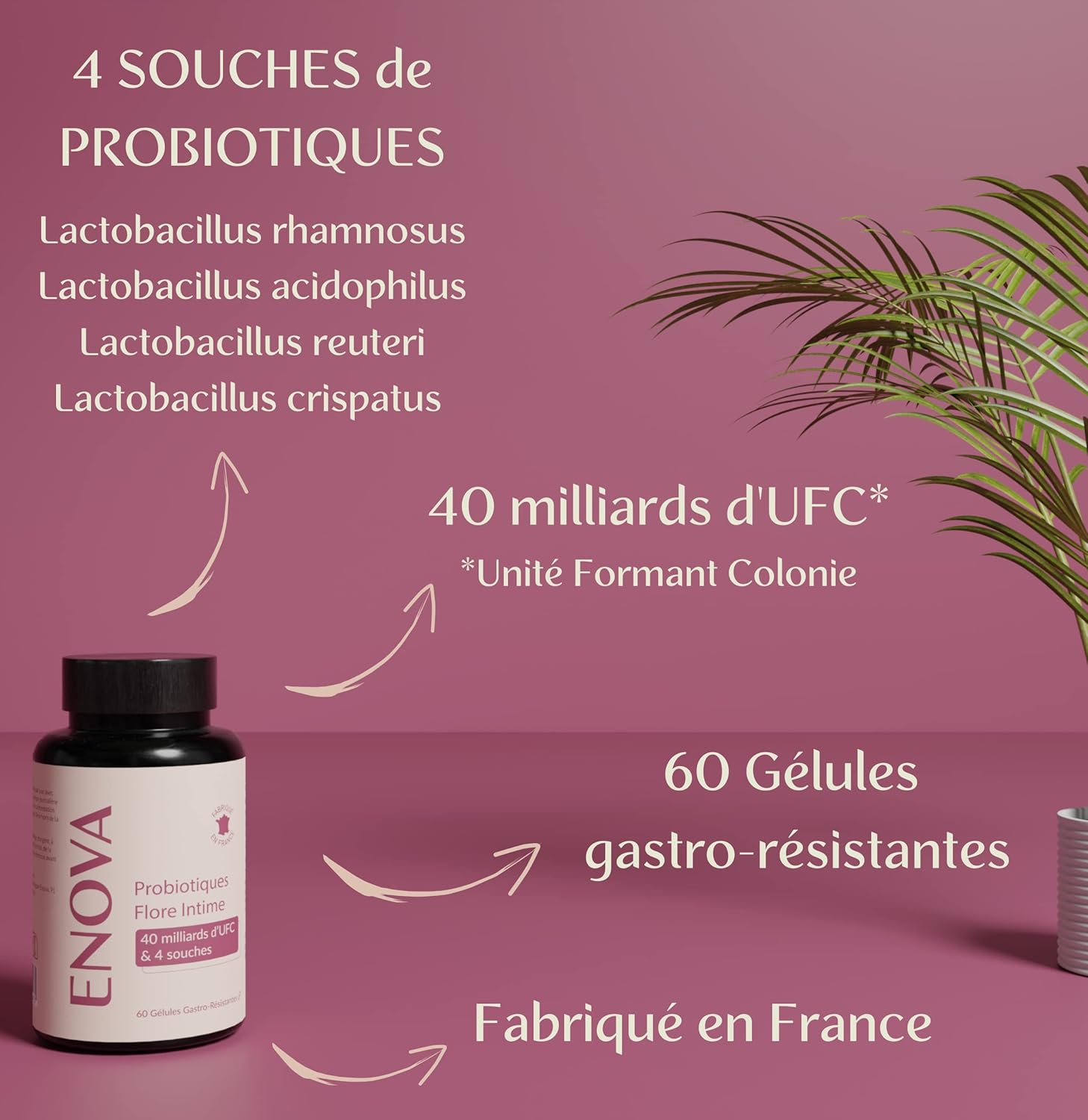 Probiotiques Flore Intime ENOVA
