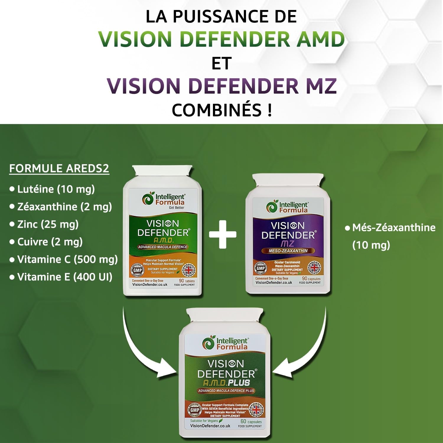 Vision Defender  Plus