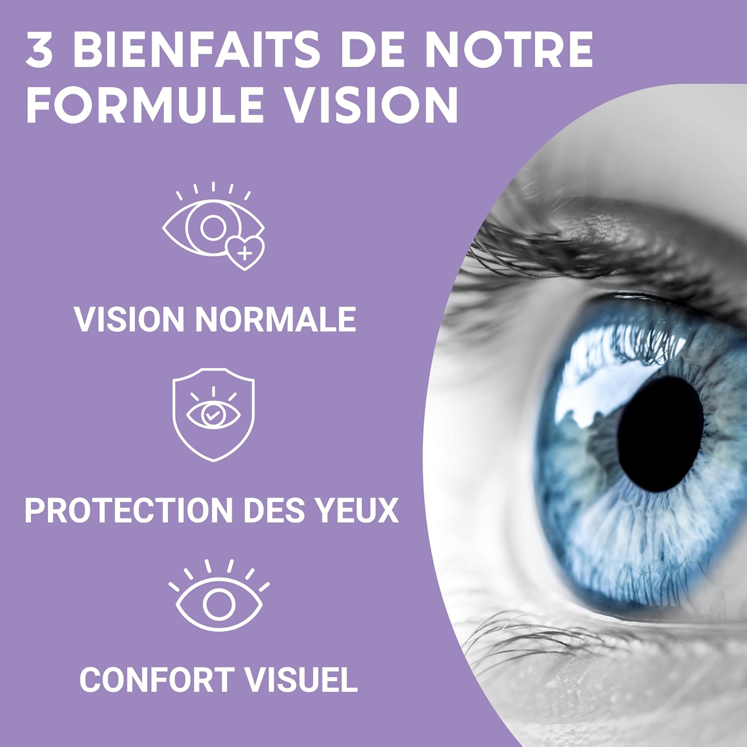 Formule Vision