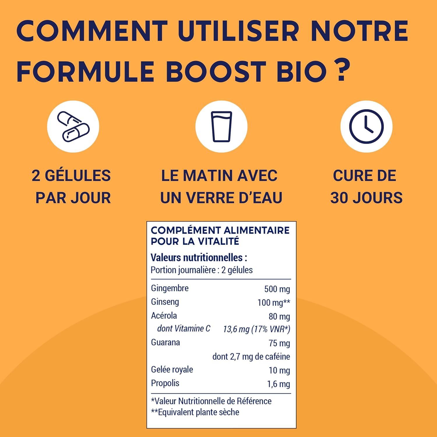 Formule Boost Bio