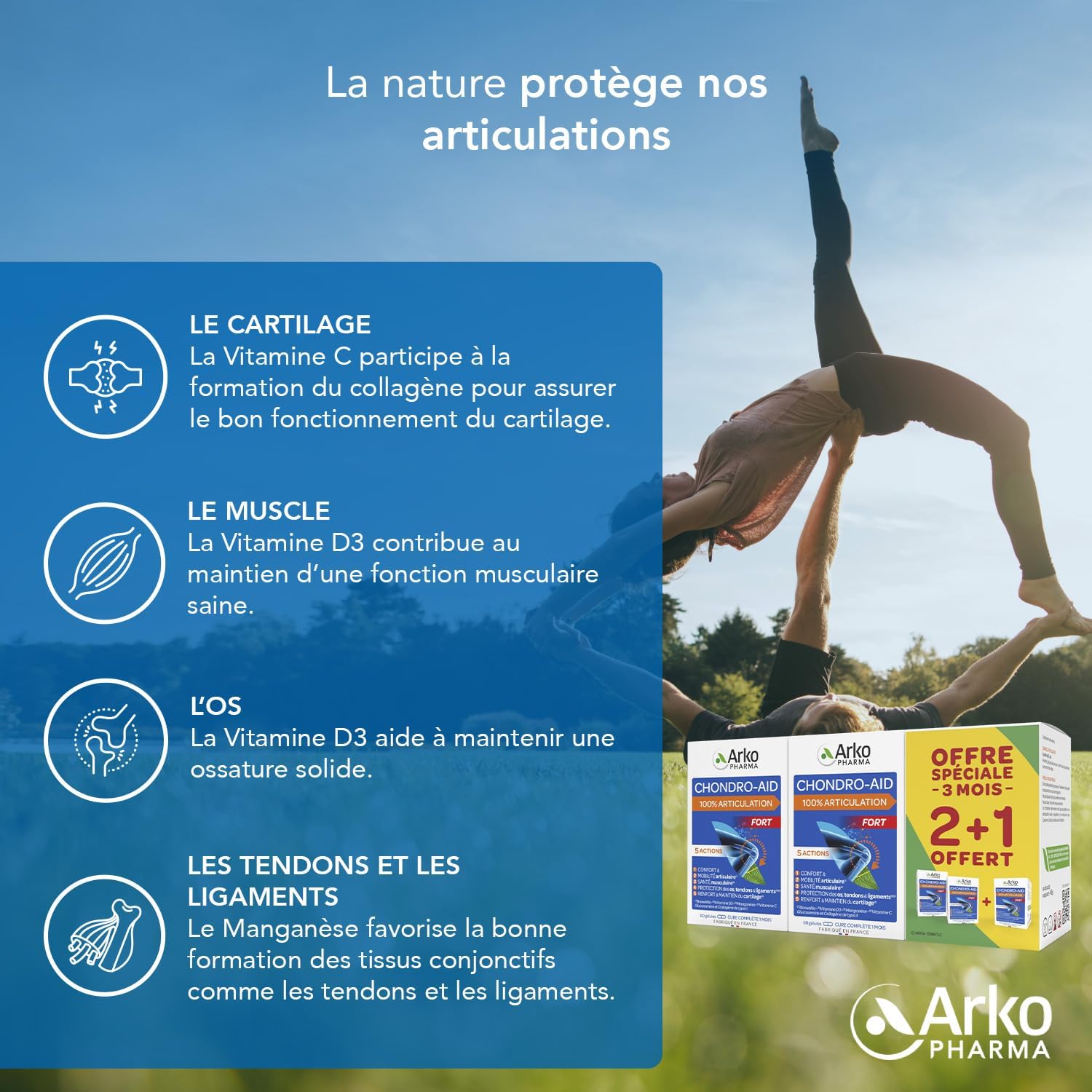 Chondro-Aid 100% Articulation Fort