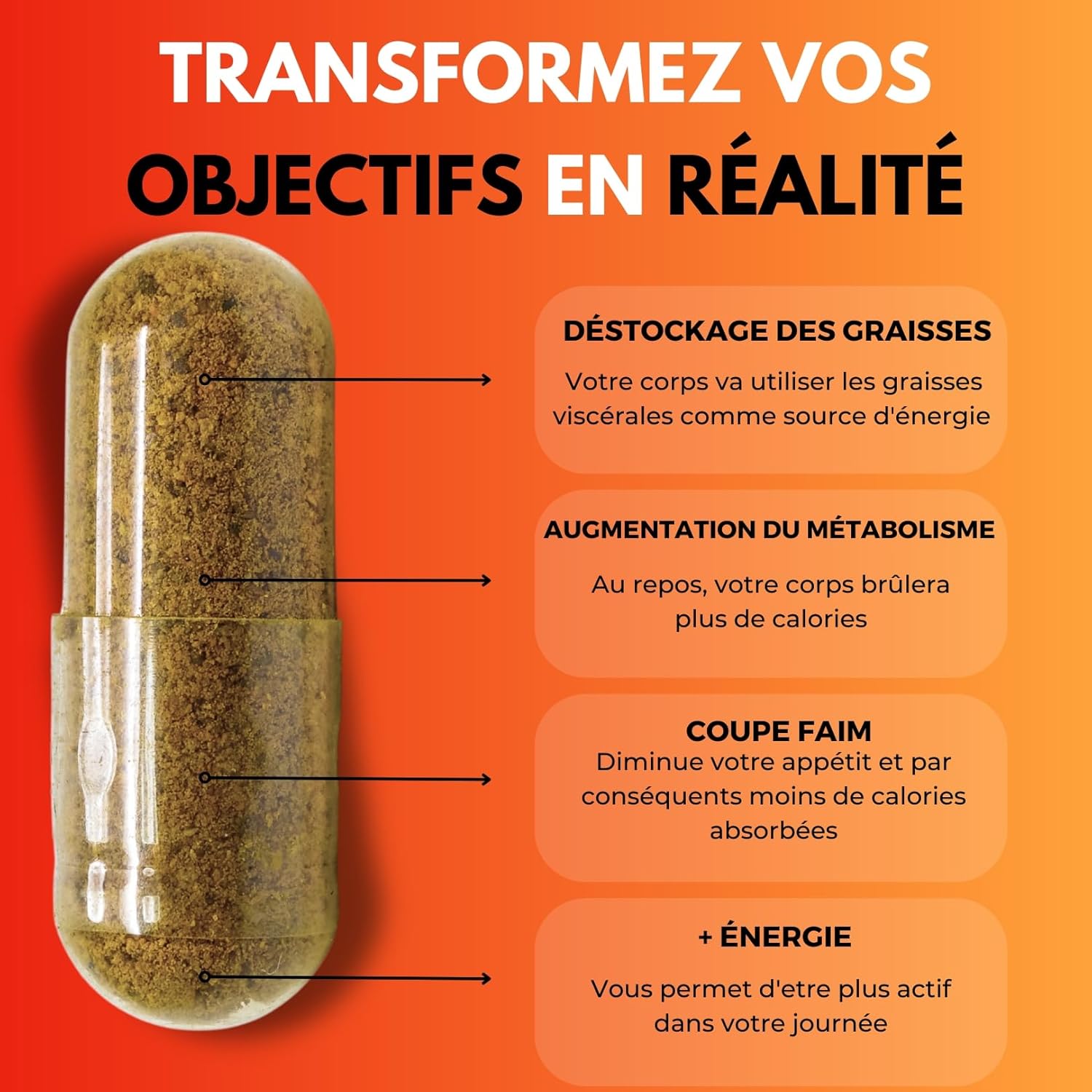 FAT BURNER BRULEUR DE GRAISSE