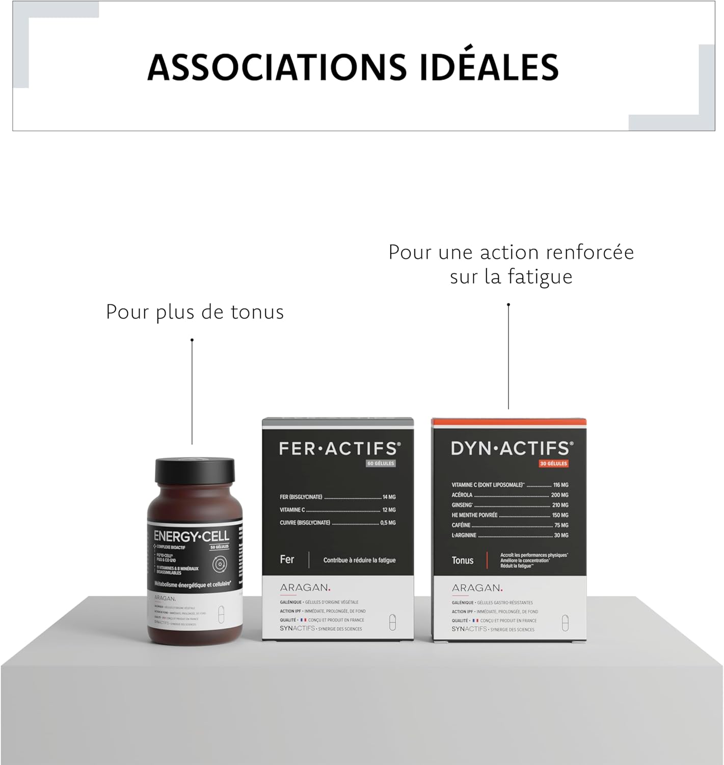 ARAGAN SYNACTIFS