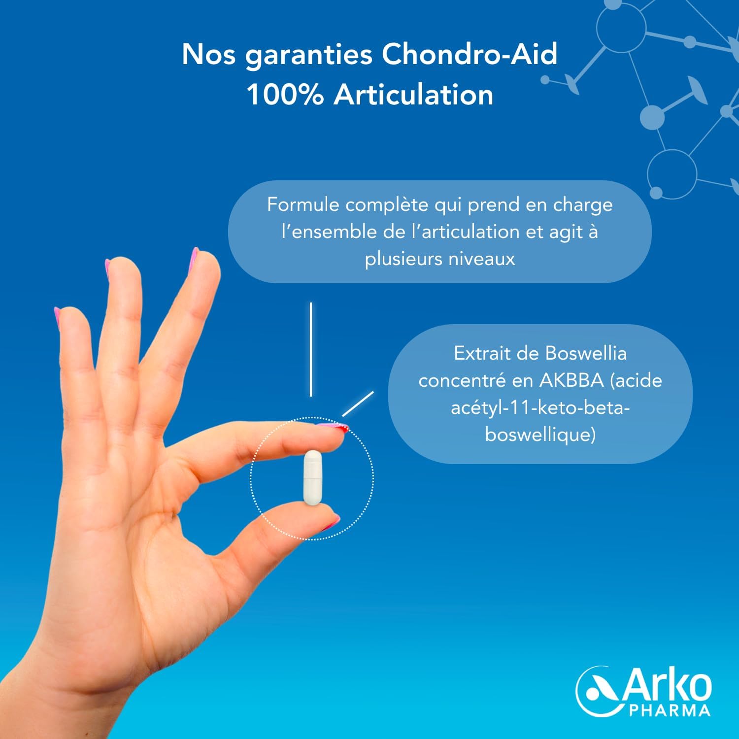 Chondro-Aid 100% Articulation Fort