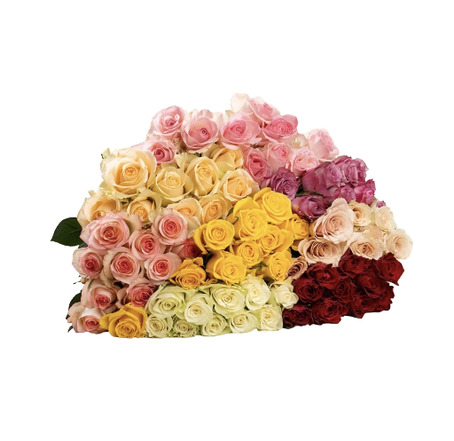 🌹 Mixed Roses Delight
