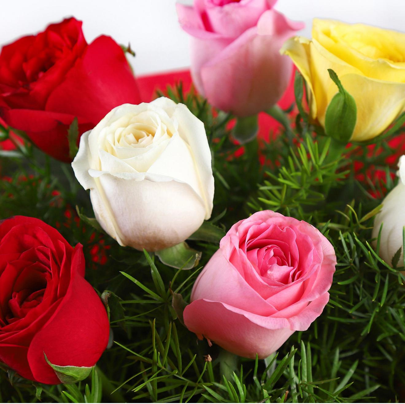 Elegant Mixed Roses