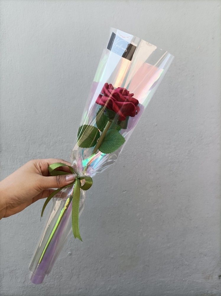 Ethereal Red Rose