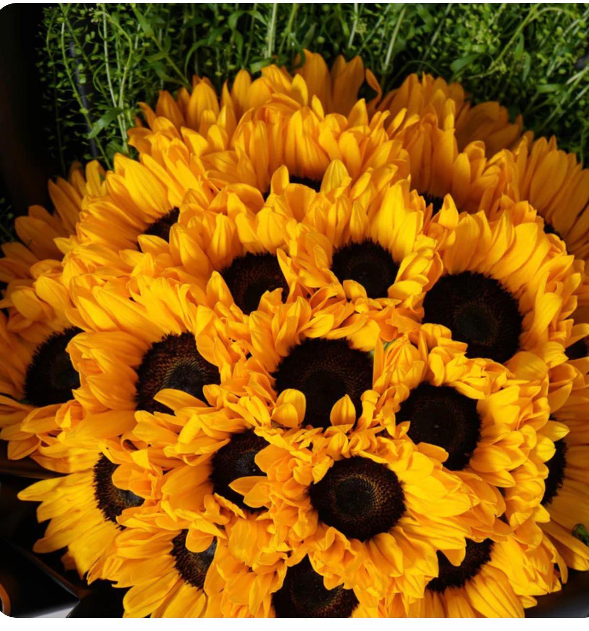 🌻 Classic Sunshine Vase