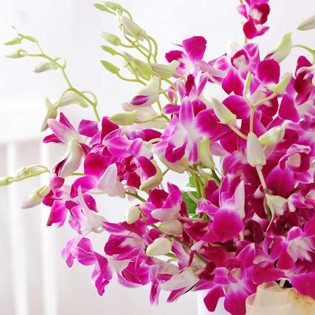 Royal Purple Orchid Box